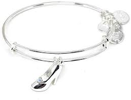 charm bracelet jewelry gift silver
