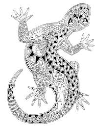 Lizards belong to the large reptile family and owe their name to the greek sauros (lizard), which is the there are about twenty lizard families in the world. Free Lizard Coloring Pages For Adults Printable To Download Lizard Coloring Pages