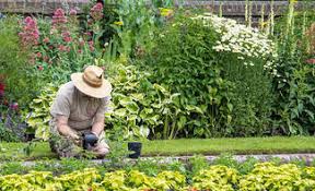 Das kannst du ab sofort bei uns im schönen schaugarten tun <3 für einzelpersonen oder für gruppen <3. Gartengestaltung Selber Machen Selbst De