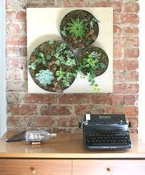 Stylish Wall Planters You Can Or