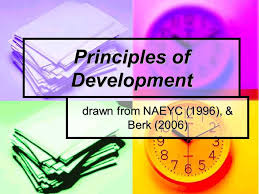Principles Of Development Drawn From Naeyc 1996 Berk