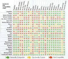Compatability Chart For Aquarium Fishes And Marine