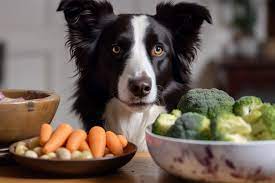 nutritious homemade dog food recipes