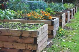 Raised Planter Bed Soil Growing