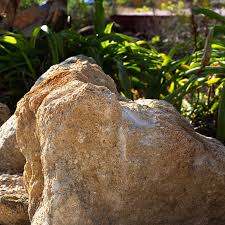 coquina boulders landscape design