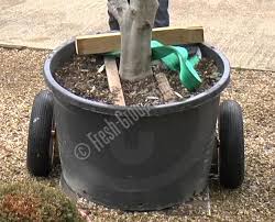 Heavy Pot Movers Essential For Lifting