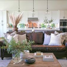 dark brown couch living room ideas