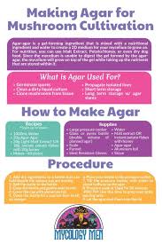 the complete guide how to make agar at