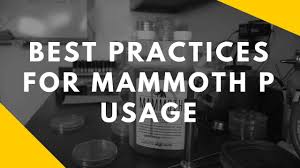 Best Practices For Mammoth P Usage
