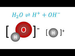 Percentage Of Water Molecules Ionized