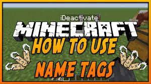 how to use name s in minecraft