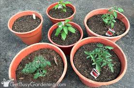 How To Make Potting Soil For Containers