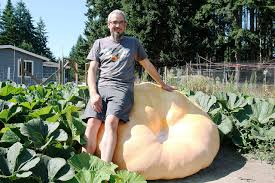 Ryan And The Giant Pumpkin Coupeville Resident Grows Half