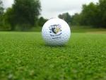Currie Municipal Golf Course | Midland MI