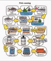 Process Diagram Fish Canning Process Ielts Training Tips