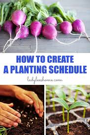 How To Create A Planting Schedule For A