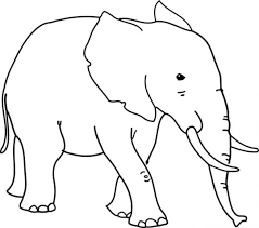 Kamu juga bisa banget mencoba membuat sketsa gajah dengan gambar yang unik dan lucu. 20 Sketsa Gambar Mewaranai Hewan Untuk Anak Anak