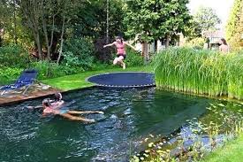 Maintenance is very simple, with nature doing the hard work. 24 Backyard Natural Pools You Want To Have Them Immediately Amazing Diy Interior Home Design