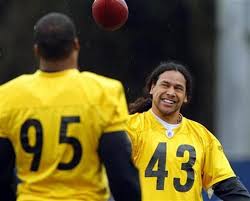 Troy polamalu's hair insured for $1 million. Football Star Troy Polamalu S Hair Insured For 1 Million Reuters