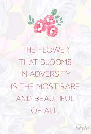 Children who are beginning their youth. Mulan Quotes Flower Blossoming Quotesgram