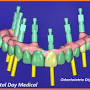 DENTAL DAY MEDICAL ambulatorio odontoiatrico from dentaldaymedical.it