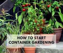 How To Start Container Gardening Like A
