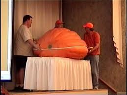 How To Measure Ott Of A Giant Pumpkin