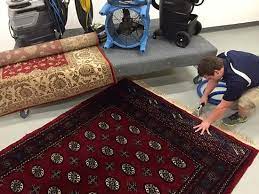 carpet cleaning service in queens ny