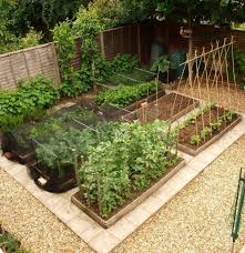 Garden Layout Vegetable Garden Bed Layout