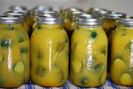 Recipe for Great Grandma Howlett's Sour Mustard Pickles ...