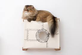 Cat Wall Cubby Enclosed Cat Bed