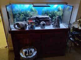 Aquarium With Wooden Cabinet And All