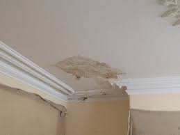 Cost To Replace Ceiling Perth Ceiling