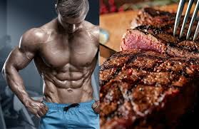carnivore t meal plan for fat loss
