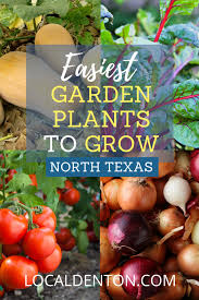 Gardening Plants To Grow In North Texas