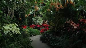 luthy botanical gardens enjoy illinois