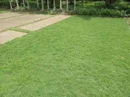 natural lawn gr cutting service