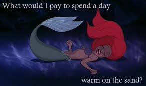 Famous Quotes From Little Mermaid. QuotesGram via Relatably.com