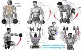 Dumbbell Exercises For Shoulders Full Shoulder Workout