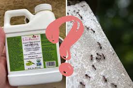 will neem oil kill or repel ants all
