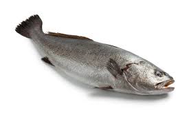 corvina or lean fish