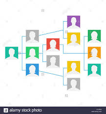 Project Team Organization Chart Vector Colleagues Working
