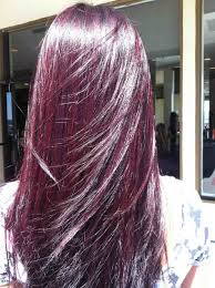 95 Purple Hair Color Highlights Lowlights For Dark Burgundy