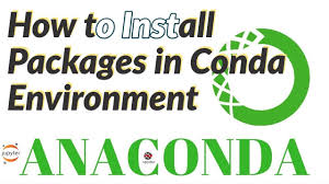 install packages in conda environment