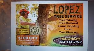 Lopez Tree Service Tree Services 21512 Binford Rd Waller Tx