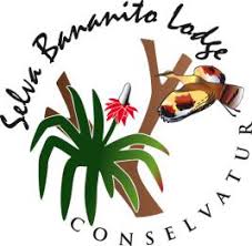 Image result for CONSELVATUR/ SELVA BANANITO LODGE