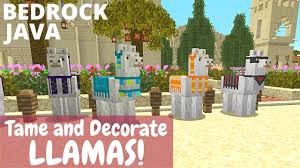 decorate and tame llamas minecraft