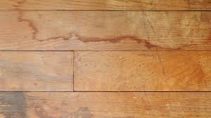 wood moisture floor restoration