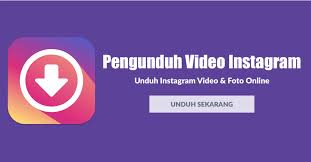 Bagaimana cara mendownload video di instagram. Pengunduh Video Instagram Instadownloader