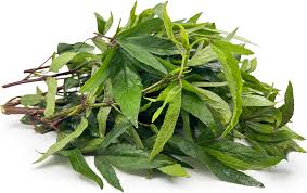 gongura leaves information and facts